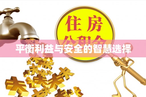 永善平衡利益与安全的智慧选择