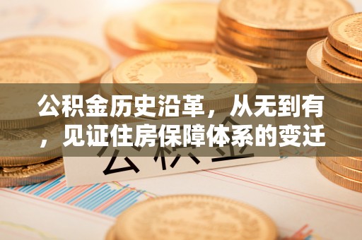 永善公积金历史沿革，从无到有，见证住房保障体系的变迁