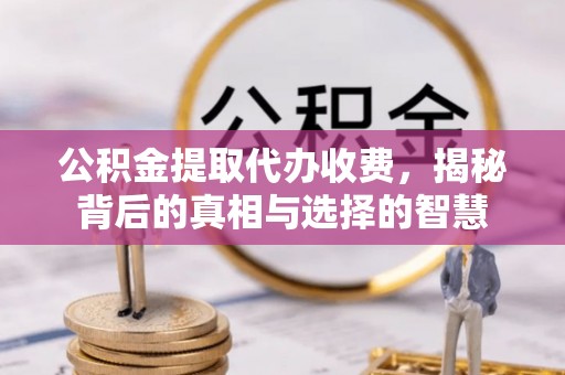永善公积金提取代办收费，揭秘背后的真相与选择的智慧