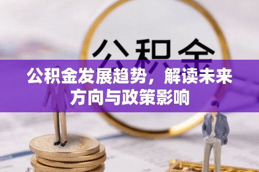 永善公积金发展趋势，解读未来方向与政策影响