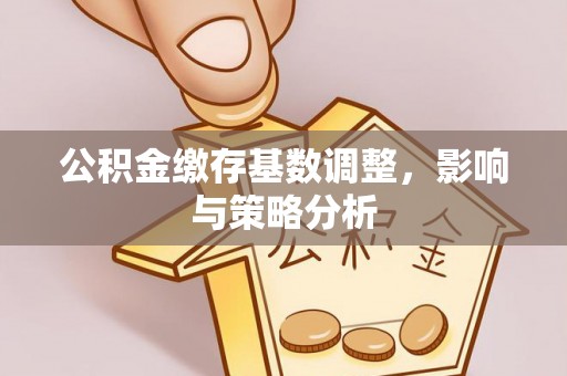 永善公积金缴存基数调整，影响与策略分析