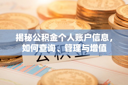 永善揭秘公积金个人账户信息，如何查询、管理与增值