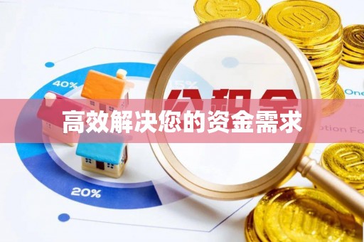 永善高效解决您的资金需求