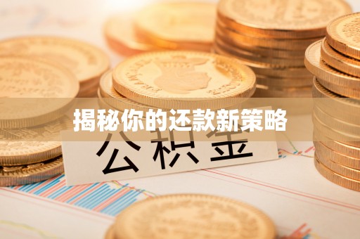 永善揭秘你的还款新策略