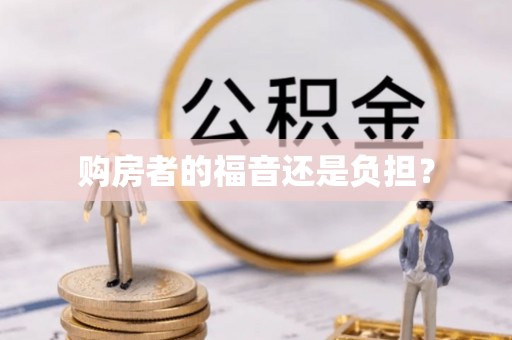 永善购房者的福音还是负担？
