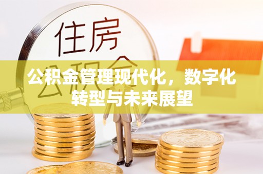 永善公积金管理现代化，数字化转型与未来展望