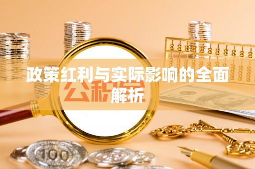 永善政策红利与实际影响的全面解析