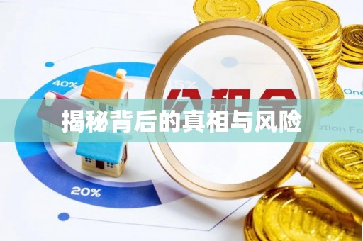 永善揭秘背后的真相与风险