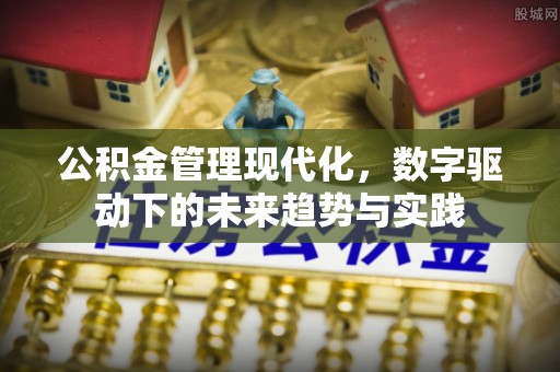 永善公积金管理现代化，数字驱动下的未来趋势与实践