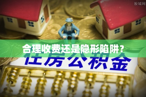 永善合理收费还是隐形陷阱？