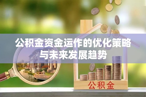 永善公积金资金运作的优化策略与未来发展趋势