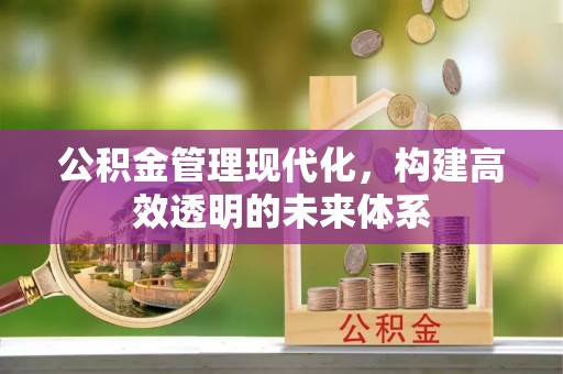 永善公积金管理现代化，构建高效透明的未来体系