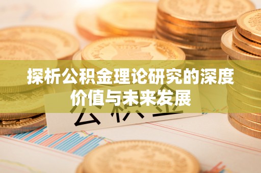 永善探析公积金理论研究的深度价值与未来发展