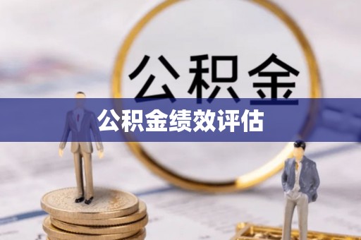 永善公积金绩效评估