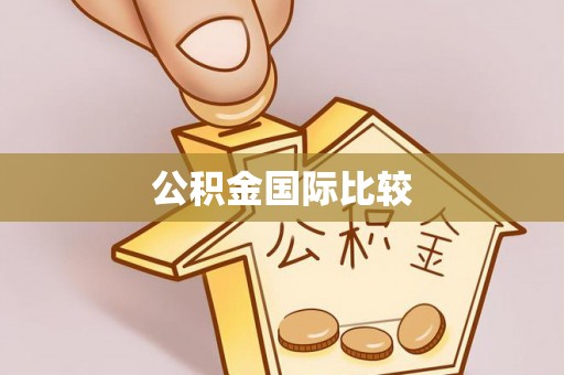 永善公积金国际比较