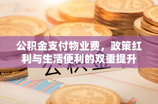 永善公积金支付物业费，政策红利与生活便利的双重提升