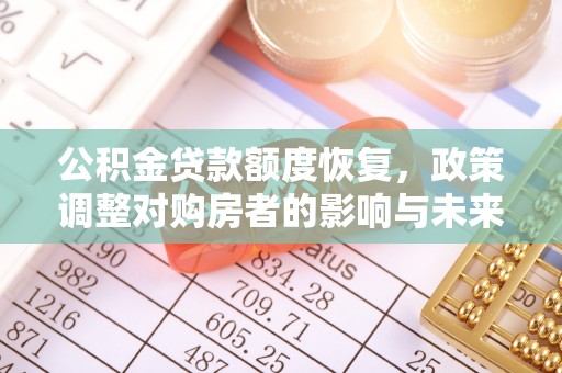 永善公积金贷款额度恢复，政策调整对购房者的影响与未来展望