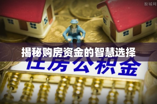 永善揭秘购房资金的智慧选择