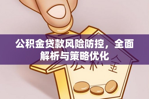 永善公积金贷款风险防控，全面解析与策略优化