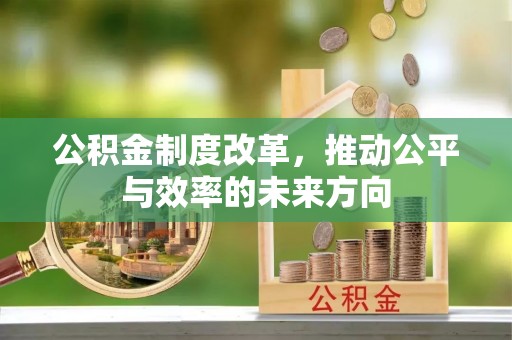永善公积金制度改革，推动公平与效率的未来方向