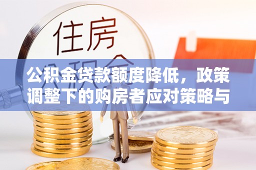 永善公积金贷款额度降低，政策调整下的购房者应对策略与未来趋势