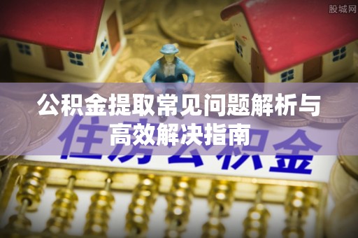 永善公积金提取常见问题解析与高效解决指南