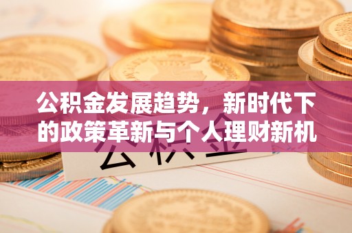 永善公积金发展趋势，新时代下的政策革新与个人理财新机遇
