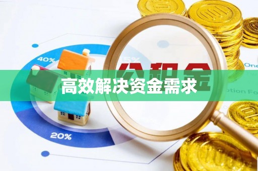 永善高效解决资金需求