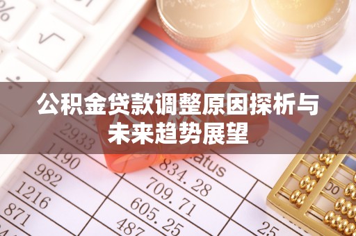 永善公积金贷款调整原因探析与未来趋势展望