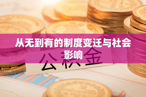 永善从无到有的制度变迁与社会影响
