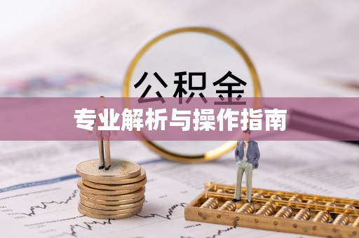 永善专业解析与操作指南