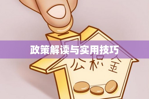 永善政策解读与实用技巧