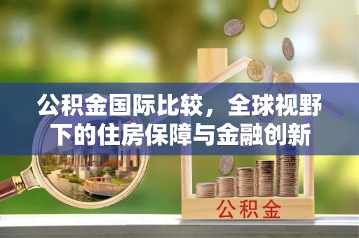 永善公积金国际比较，全球视野下的住房保障与金融创新