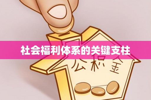 永善社会福利体系的关键支柱