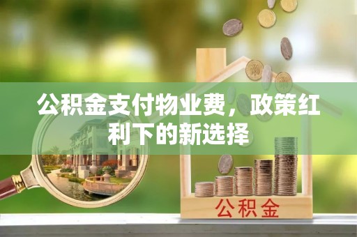 永善公积金支付物业费，政策红利下的新选择