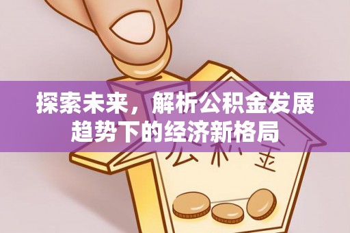 永善探索未来，解析公积金发展趋势下的经济新格局