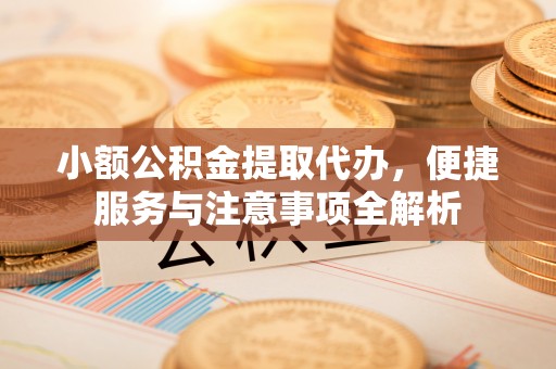 永善小额公积金提取代办，便捷服务与注意事项全解析