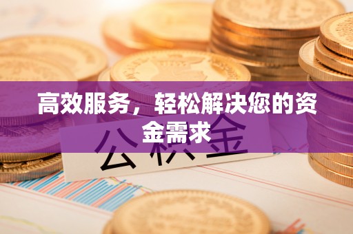 永善高效服务，轻松解决您的资金需求