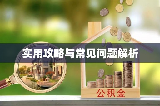 永善实用攻略与常见问题解析