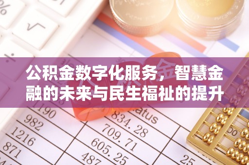 永善公积金数字化服务，智慧金融的未来与民生福祉的提升
