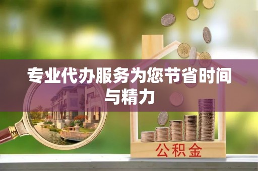永善专业代办服务为您节省时间与精力