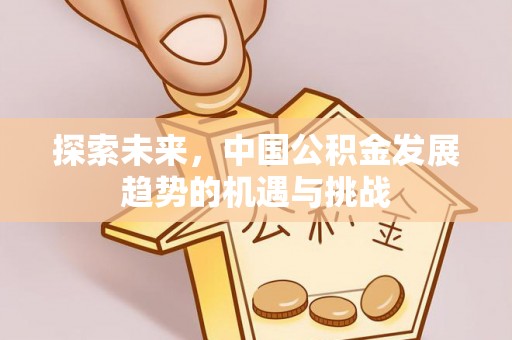 永善探索未来，中国公积金发展趋势的机遇与挑战