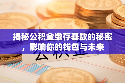 永善揭秘公积金缴存基数的秘密，影响你的钱包与未来