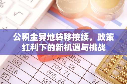 永善公积金异地转移接续，政策红利下的新机遇与挑战