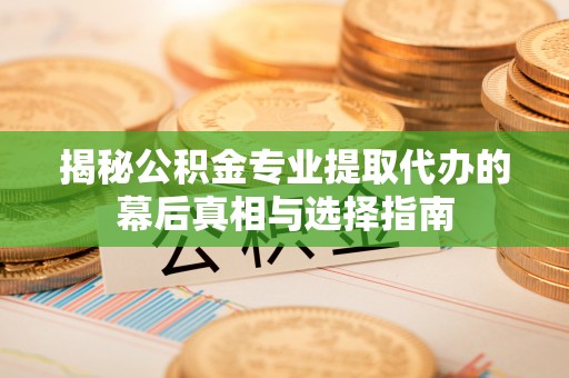 永善揭秘公积金专业提取代办的幕后真相与选择指南