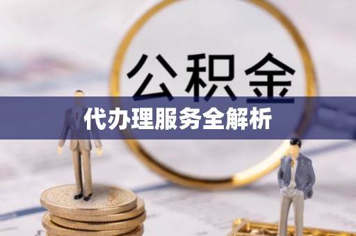 永善代办理服务全解析
