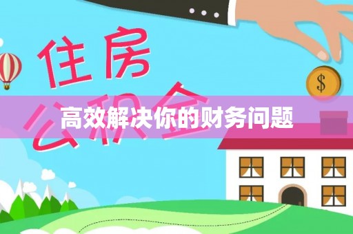 永善高效解决你的财务问题